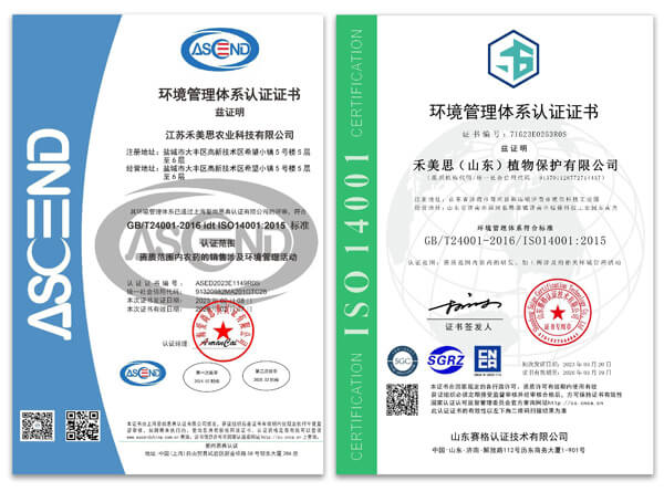 The Profound Significance of Enterprises Perfecting ISO Triple System Certification