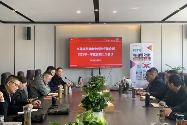 Jiangsu Homeasy Company Held the First Quarter 2023 Marketing Work Conference