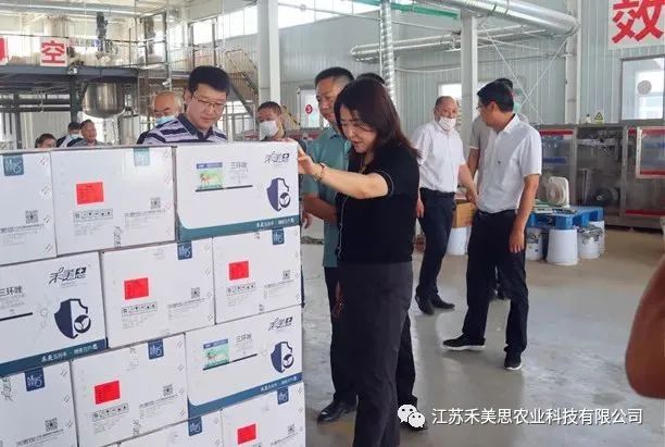 Wang Guangqin, Member of the Standing Committee of Shanghe County Committee and Deputy County Head of Jinan City, Led a Delegation to Investigate Homeasy's Shandong Factory