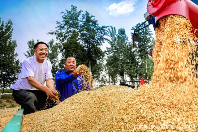 Shift in Pesticide Market Consumption Decision-Making Power—The Era of Large-Scale Growers Dominating Decisions is Approaching